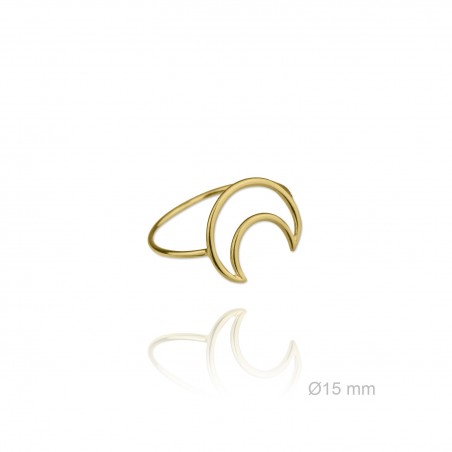 Sortija de Plata de Ley