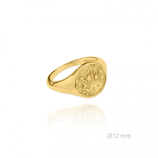 Sortija de Plata de Ley