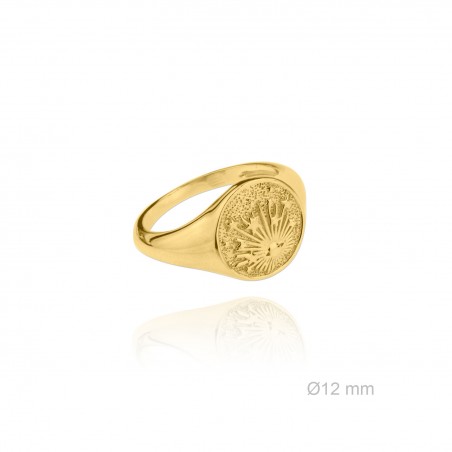 Sortija de Plata de Ley