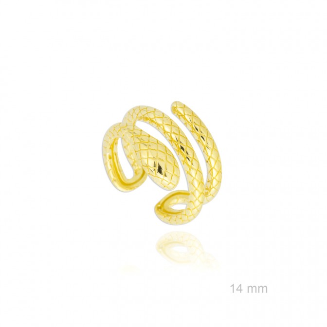 Sortija de Plata de Ley