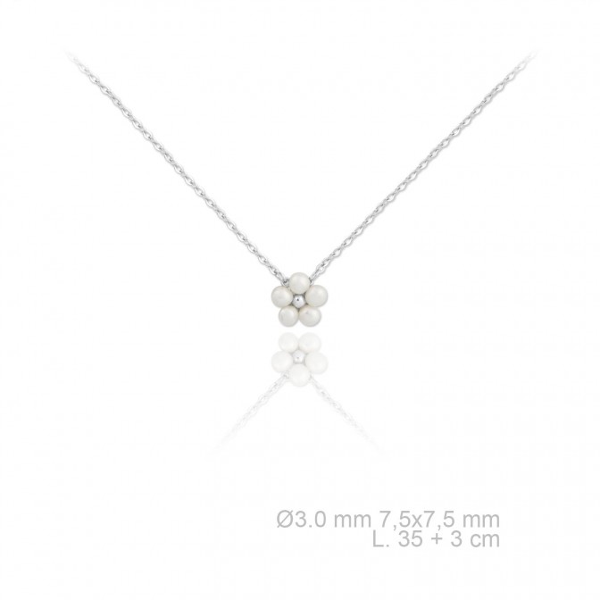 Gargantilla de Plata de Ley