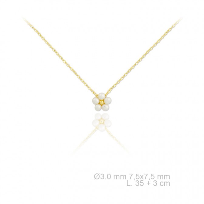 Gargantilla de Plata de Ley