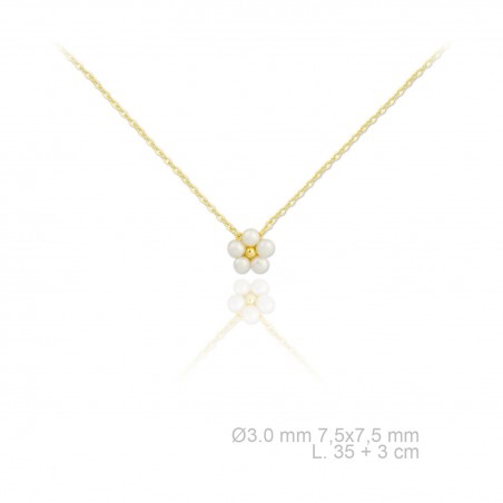 Gargantilla de Plata de Ley