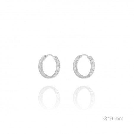 Pendientes de Plata de Ley