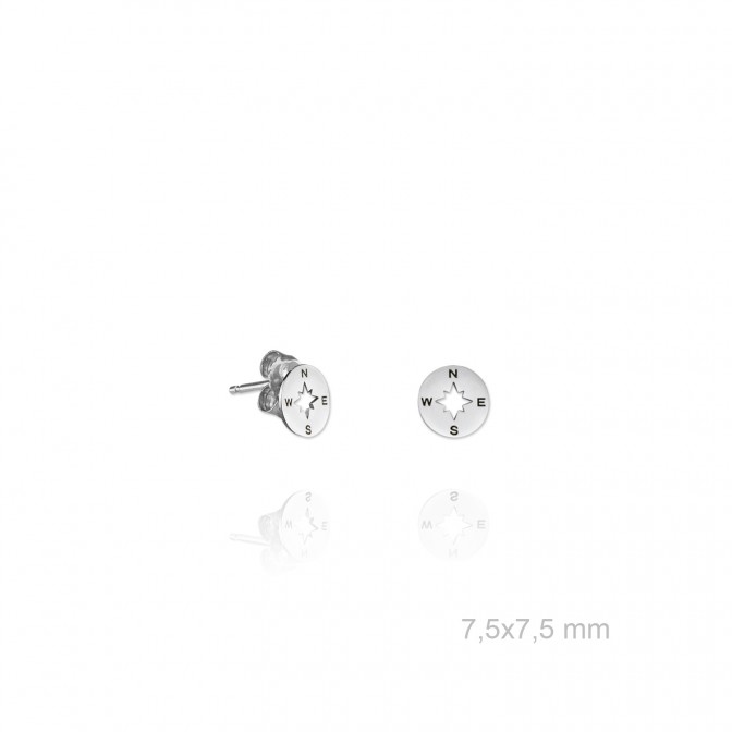 Pendientes de Plata de Ley