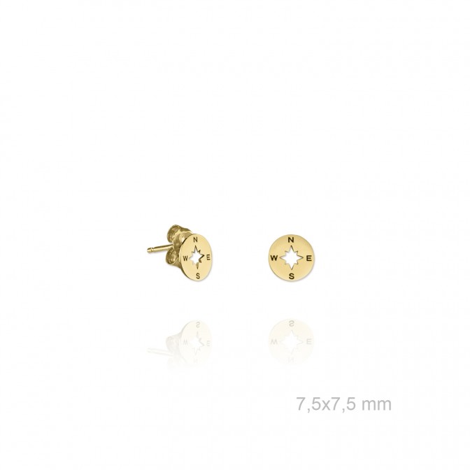 Pendientes de Plata de Ley