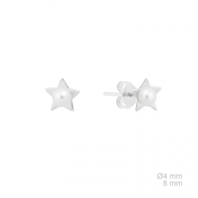 Pendientes de Plata de Ley