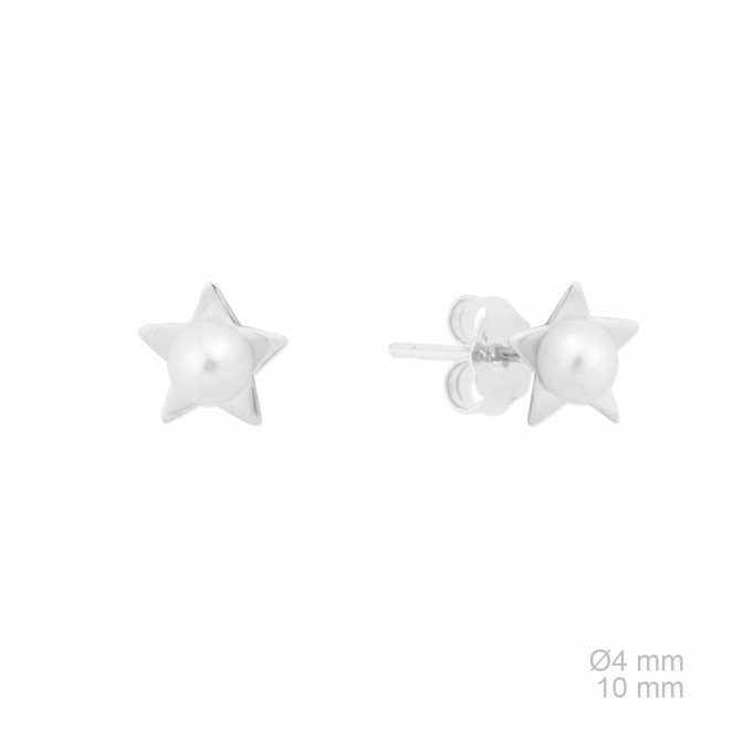 Pendientes de Plata de Ley