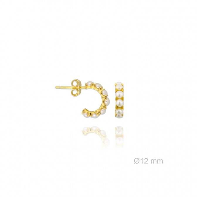 Pendientes de Plata de Ley