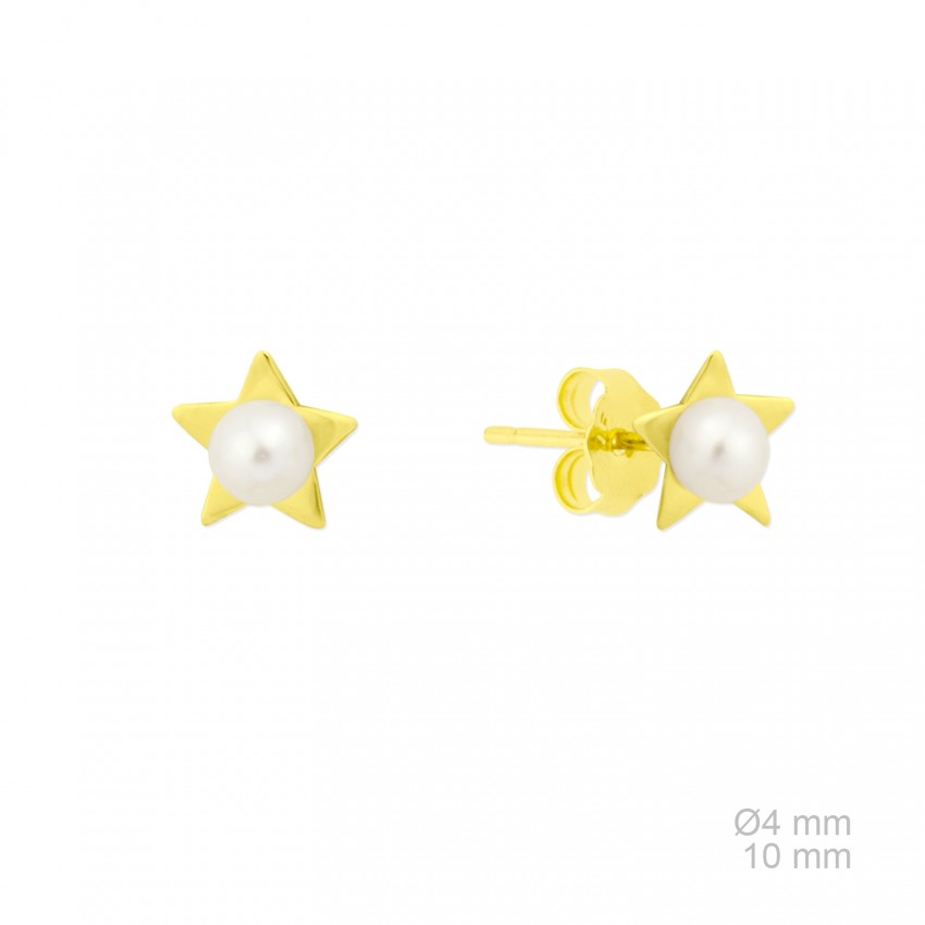 Pendientes de Plata de Ley