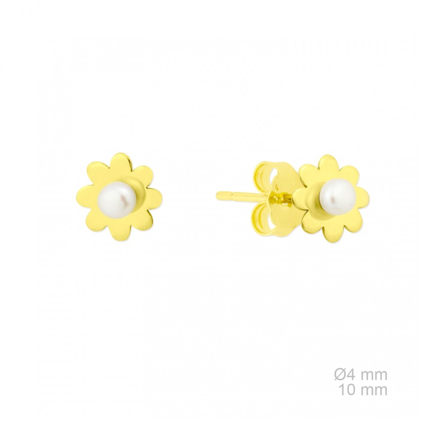 Pendientes de Plata de Ley