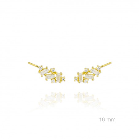 Trepadores de Plata de Ley