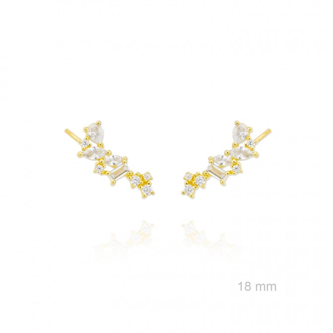 Trepadores de Plata de Ley