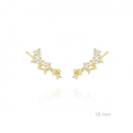 Trepadores de Plata de Ley