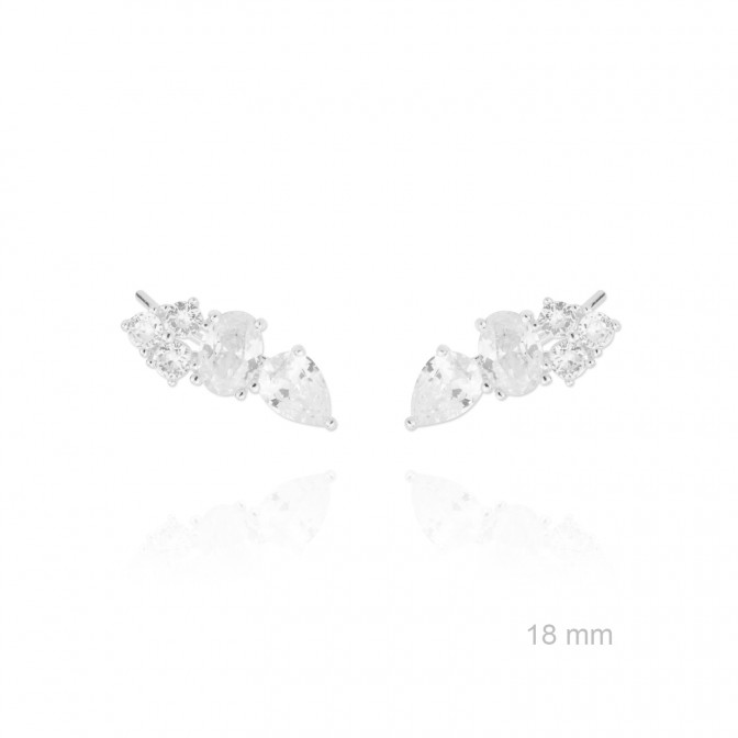 Trepadores de Plata de Ley