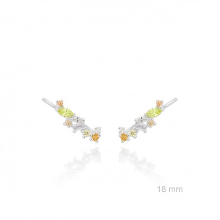 Trepadores de Plata de Ley