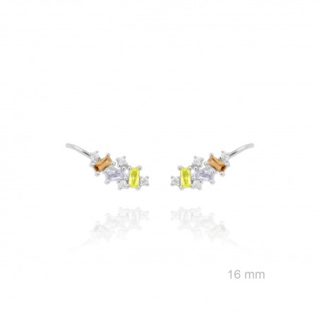 Trepadores de Plata de Ley