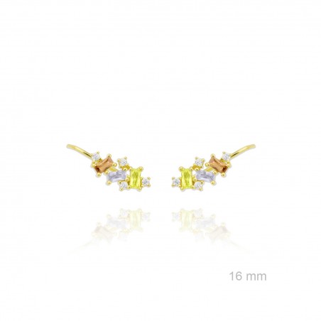 Trepadores de Plata de Ley