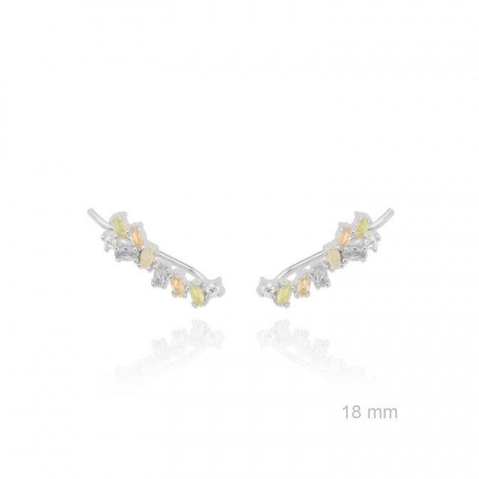 Trepadores de Plata de Ley