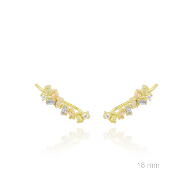 Trepadores de Plata de Ley