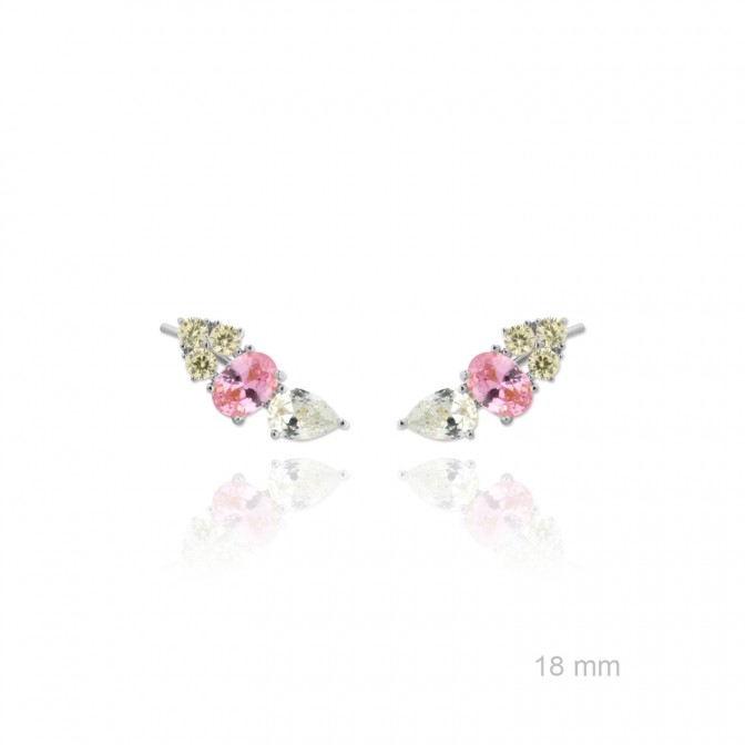 Trepadores de Plata de Ley