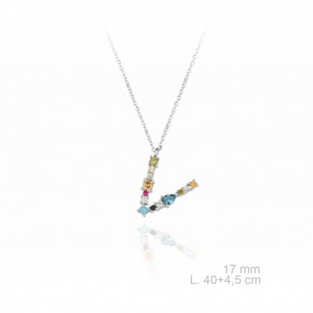 Gargantilla de Plata de Ley | V