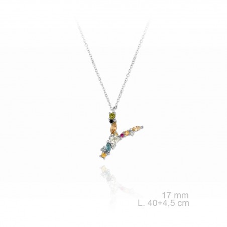 Gargantilla de Plata de Ley | Y