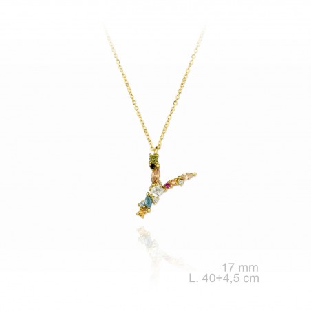 Gargantilla de Plata de Ley | Y