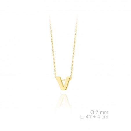 Gargantilla de Plata de Ley | V