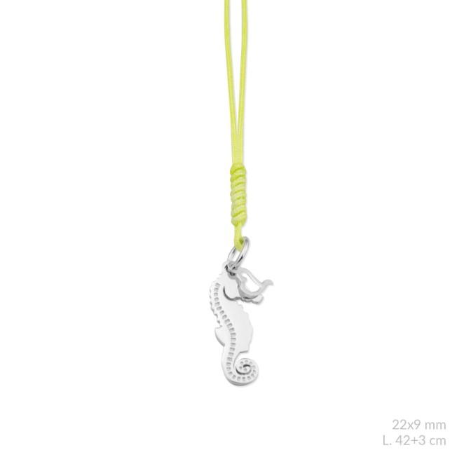 Gargantilla de Plata de Ley