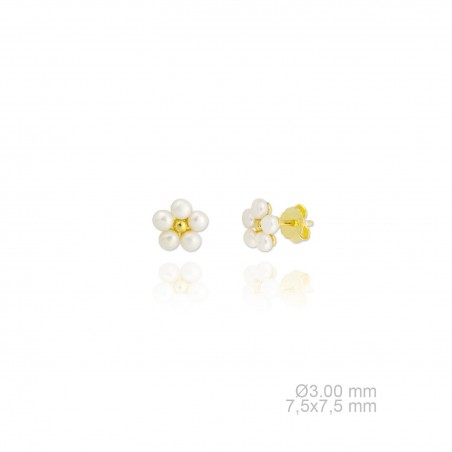 Pendientes de Plata de Ley