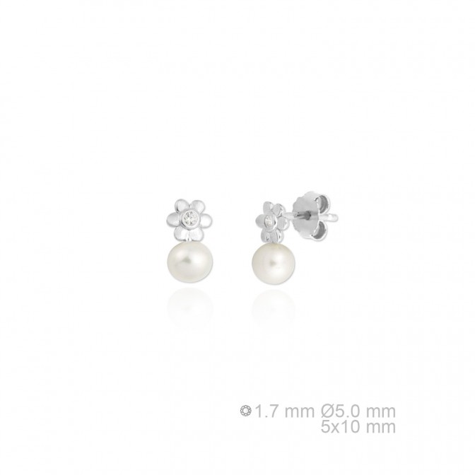 Pendientes de Plata de Ley