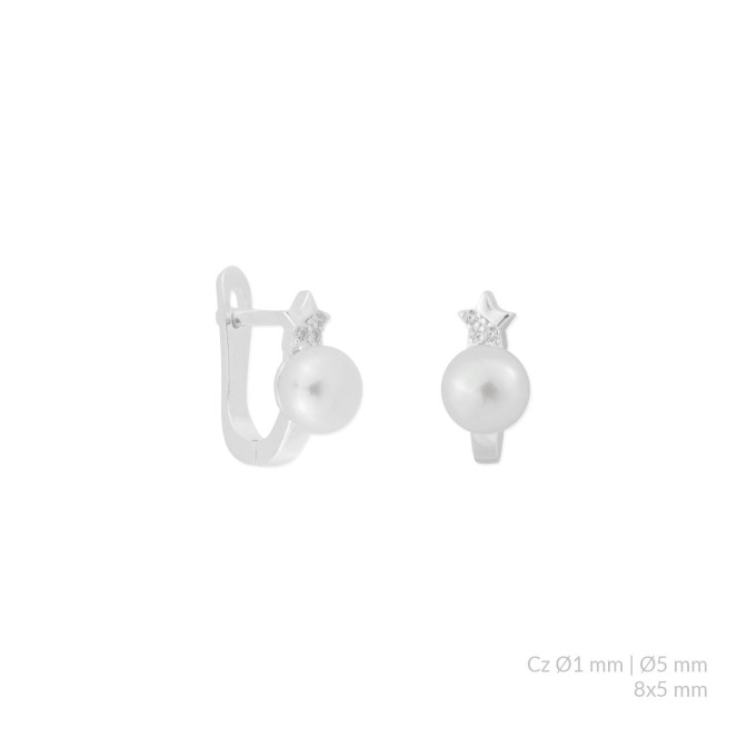 Pendientes de Plata de Ley con circonitas