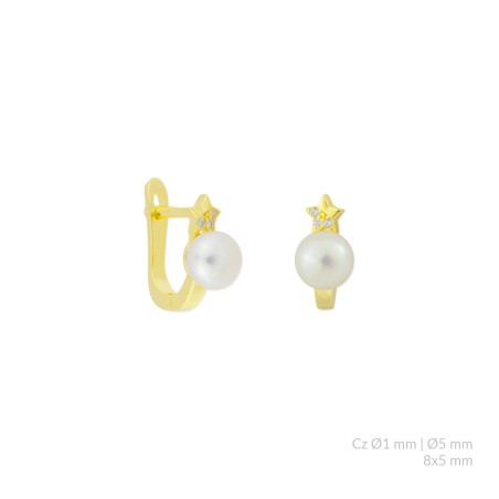 Pendientes de Plata de Ley con circonitas