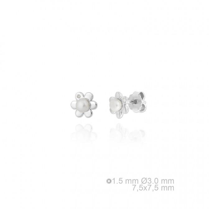 Pendientes de Plata de Ley