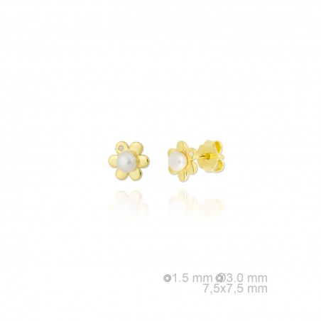 Pendientes de Plata de Ley