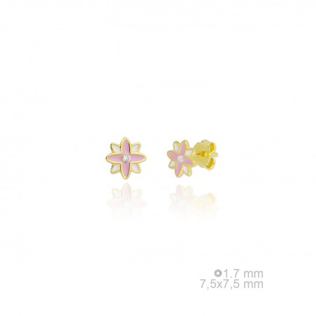 Pendientes de Plata de Ley