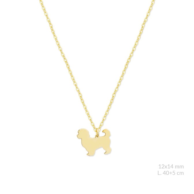 Gargantilla de Plata de Ley | Bichón Maltés