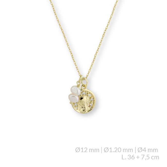 Gargantilla de Plata de Ley