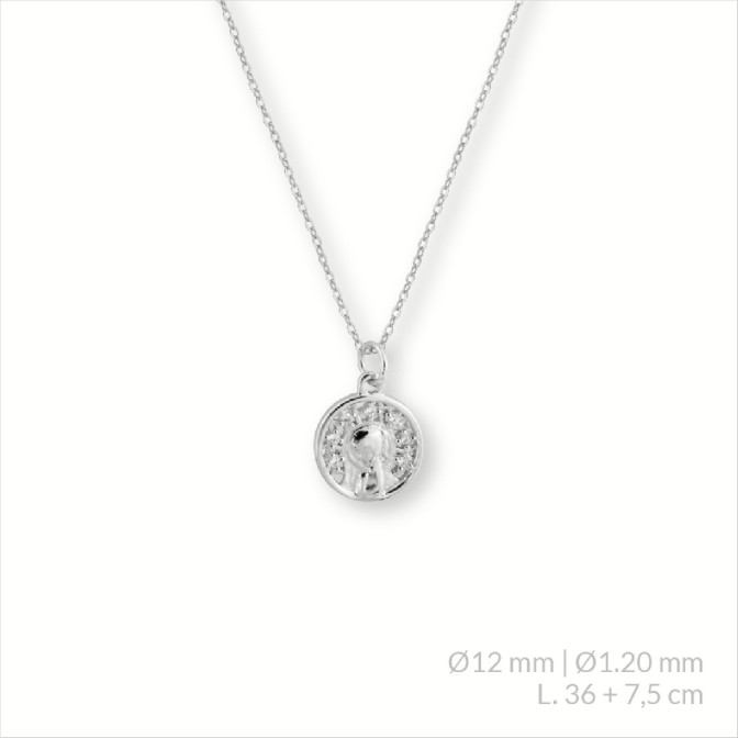 Gargantilla de Plata de Ley