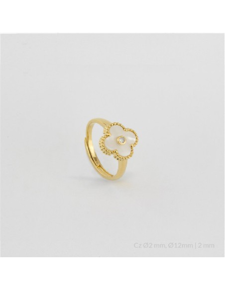 Anillo de Plata de Ley