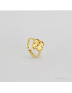 Anillo de Plata de Ley