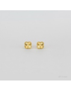 Pendientes de Plata de Ley