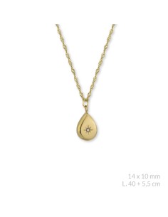 Gargantilla de Acero inoxidable