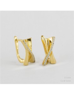 Pendientes de Plata de Ley