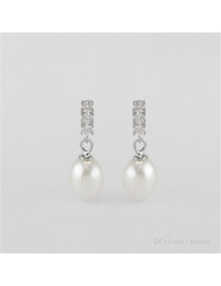 Pendientes de Plata de Ley