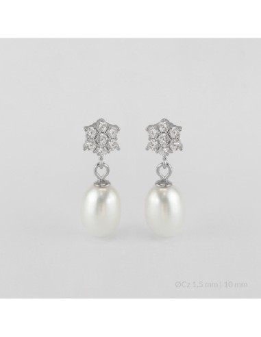 Pendientes de Plata de Ley