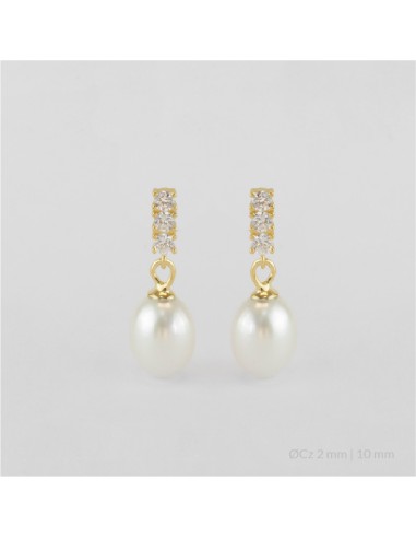 Pendientes de Plata de Ley