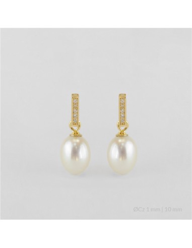 Pendientes de Plata de Ley