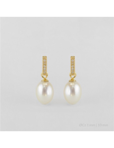 Pendientes de Plata de Ley